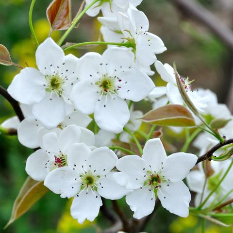 畅游游戏，乐享智慧新体验