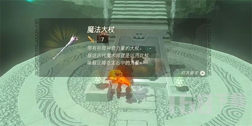 《塞尔达传说》拉聂尔湿地全攻略：宝箱果实一网打尽，深度解析新视角