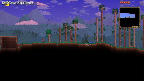 《泰拉瑞亚》圣诞大揭秘：全新特别内容惊喜来袭！