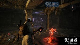 废土重生：揭秘《废土2》阴森截图中的新希望