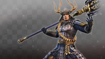 智勇双全，悍将风范，一瞥便识新武将风采