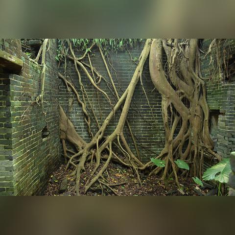 《乌鸦悲鸣》发售日定档5月7日，全新截图惊艳亮相，揭秘游戏新价值