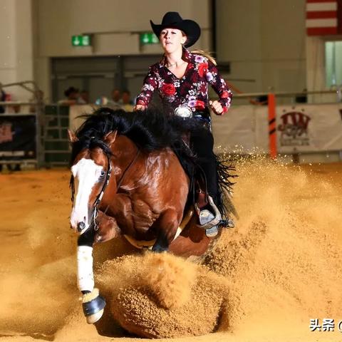 《塞尔达传说》无限骑术揭秘：人马挑战攻略全解析