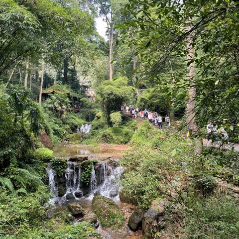 亚马逊热销10大游戏盘点：揭秘沉浸式体验新巅峰