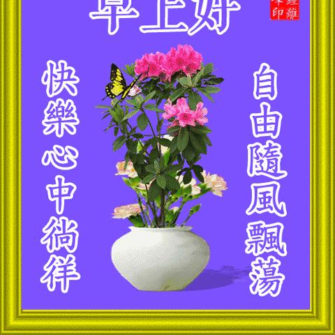 《愤怒的小鸟》3D大电影震撼来袭，2016暑期全新启航！