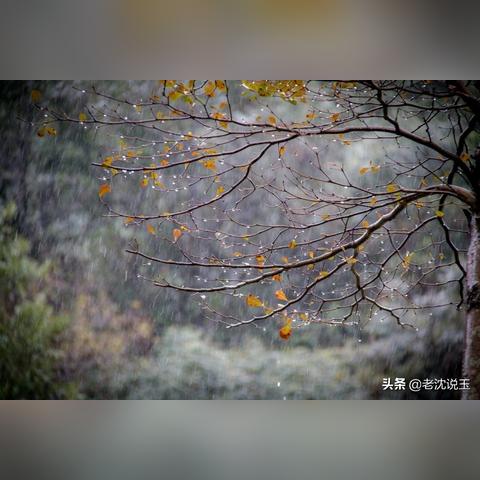 雨中狂飙显寒霜3，极品飞车18对决实力巅峰对决