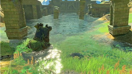 《塞尔达传说》生命松露藏匿秘境，独家攻略助你一网打尽！