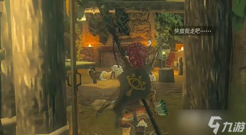 《塞尔达传说》王国泪：依盖队布局攻略与阴谋揭秘指南