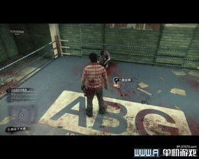 《丧尸围城3》惊爆：十大结局揭秘，全新价值体验揭晓