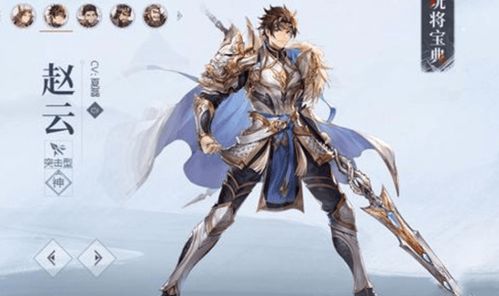 三国风云赵云王元姬，人气巅峰新传奇