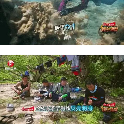 植物大战僵尸2：全新升级，体验极限挑战！