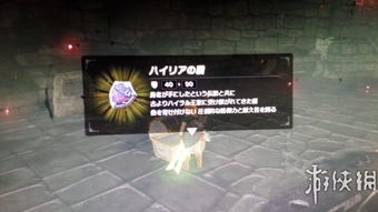 《塞尔达传说》海利亚盾耐久刷新攻略，高效恢复新技巧揭秘