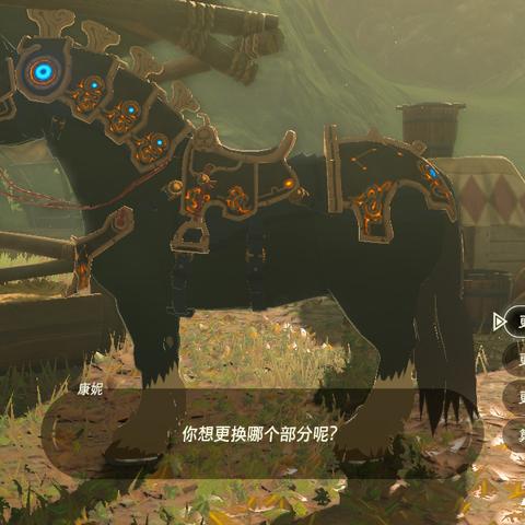 《塞尔达传说》稀有材料速刷攻略：高效地点揭秘！