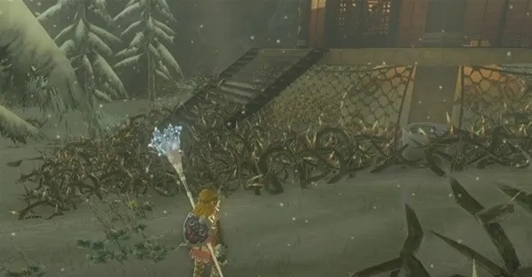 《塞尔达传说》全鸟望台攻略揭秘，解锁王国之泪新境界