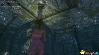 《上古5》106MOD巅峰同场乱斗，诠释自由度神作新境界