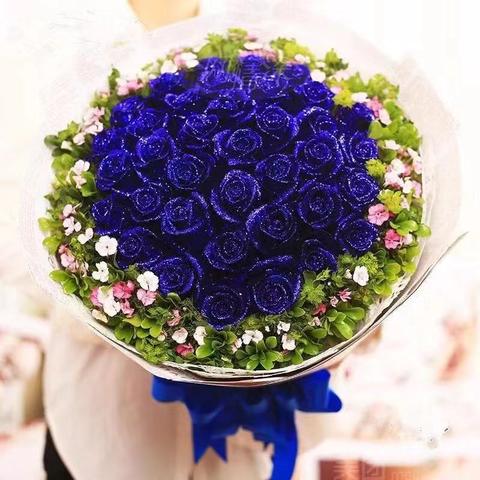 《勿忘我》评测：中等品质揭秘，游戏魅力再升级