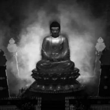 十大荒诞设定揭秘：尸体神秘失踪，枪战惊变惊悚大片