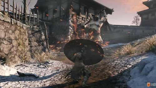 《只狼》全源之琉璃获取攻略：解锁神秘琉璃位置技巧揭秘