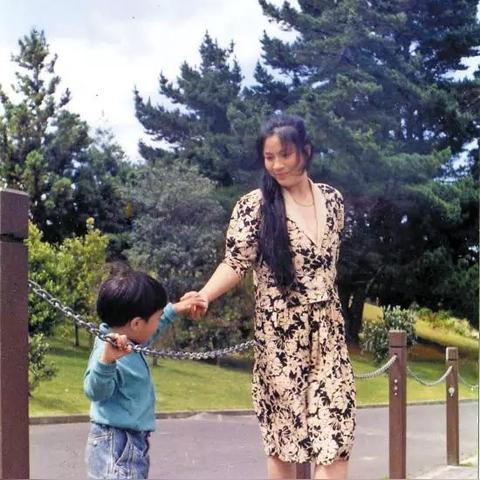 《死亡岛：激流》评测揭秘，全新价值体验解析