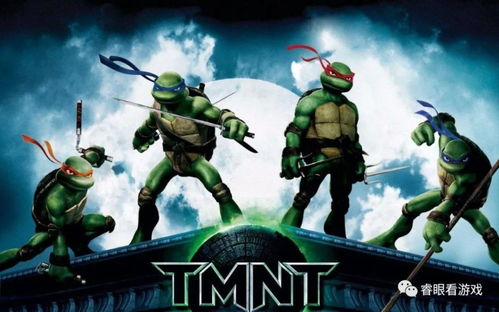 忍者神龟联手揭秘：勇闯光影新篇章