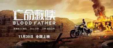 破碎避风港：哀伤求生之旅，心灵救赎新篇章