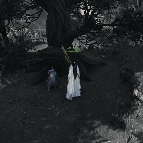 逆水寒岁月神偷攻略：深度解析神偷技巧，高效完成任务