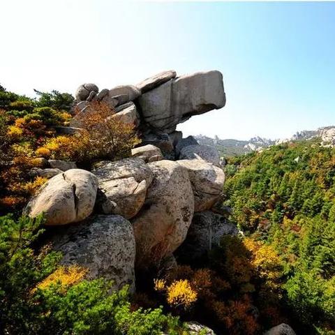 体育奇观！灵异搞笑火花碰撞，趣味运动图集大赏