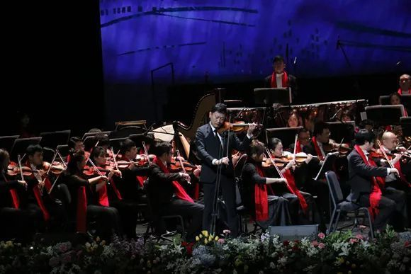 《勿忘我》音乐盛宴揭秘，爱乐乐团演绎视听新篇章