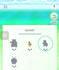 探秘游乐场营地：足迹追踪新攻略，解锁宝藏之旅