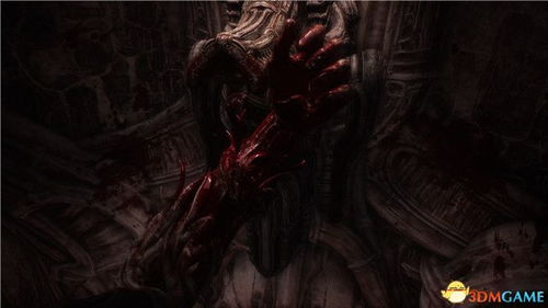 《吸血鬼》剧情深度解析：揭秘暗夜传奇新篇章