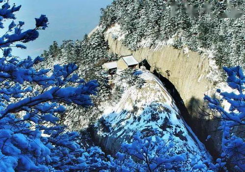 绝美画质震撼来袭，挑战极限等你来战！