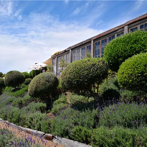 《死亡岛：激流》独家首曝，揭秘特殊版封面新亮点