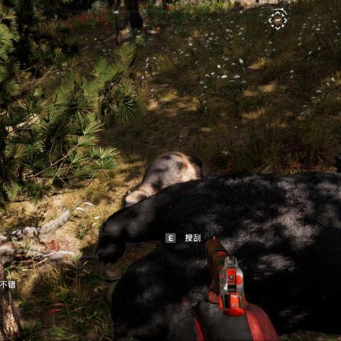 拯救生态先锋，揭秘《孤岛惊魂3》动物保护新篇章