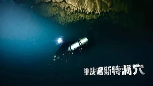 潜行水域四大神秘水怪，各展奇能揭秘新篇章