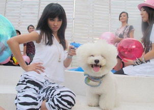 明星狗抢镜大揭秘：盘点游戏中的镜头霸主