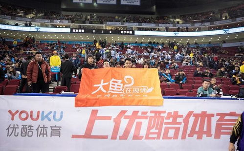 全新观战模式揭秘：暴雪设计师深度解析