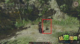 《植物探秘：崛起2黑暗水域生态考察指南》