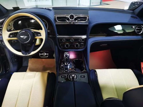 《阿玛拉王国》紫金套装探秘，独家揭秘新价值体验