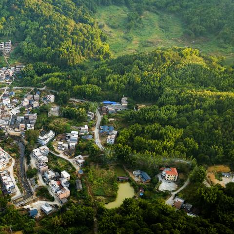 太空奇遇！红色星球揭秘：愤怒小鸟新篇章震撼来袭