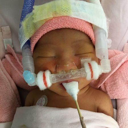 病房惊魂：揭秘PC版恐怖新篇章