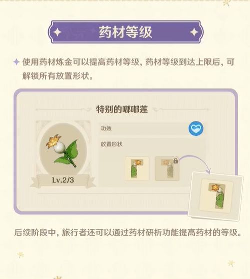 《原神》升炼研巧万策金攻略：热销阶段高效策略解析秘籍