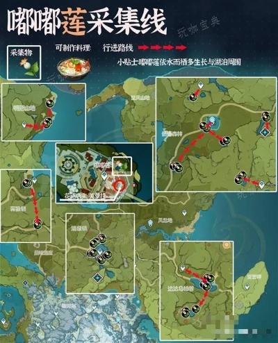 嘟嘟莲高效采集攻略：一网打尽神秘花源