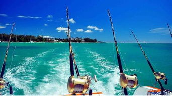 8月30日大揭秘：逗游-船水纪孝Crafts & Meister匠心之作即将亮相