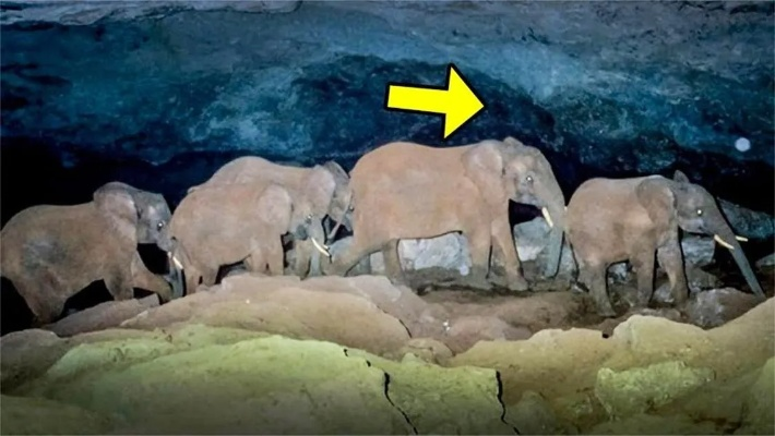 探寻《上古5》神秘温泉奇遇，揭秘大象！十大珍稀事件宝藏