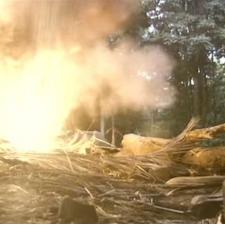 《死亡扳机》免费畅玩，丧尸杀戮新体验，刺激来袭！