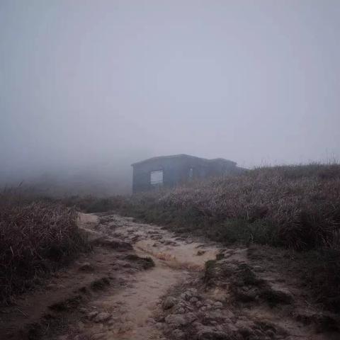 《寂静岭F》1.10版更新揭秘：简易难度选择攻略解析