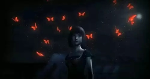 轻松获取《零红蝶重制版》CDKEY，专业渠道推荐必看！