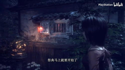 《零红蝶重制版》价格揭秘：探寻性价比之选