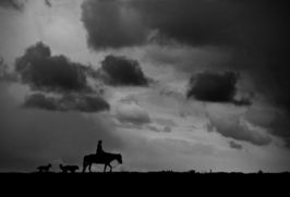 暗黑血统2角色揭秘：西风瘦马、老树昏鸦新势力崛起