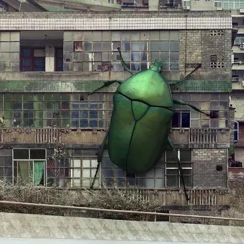 破解游戏迷思：揭秘十大荒诞定律背后的奥秘